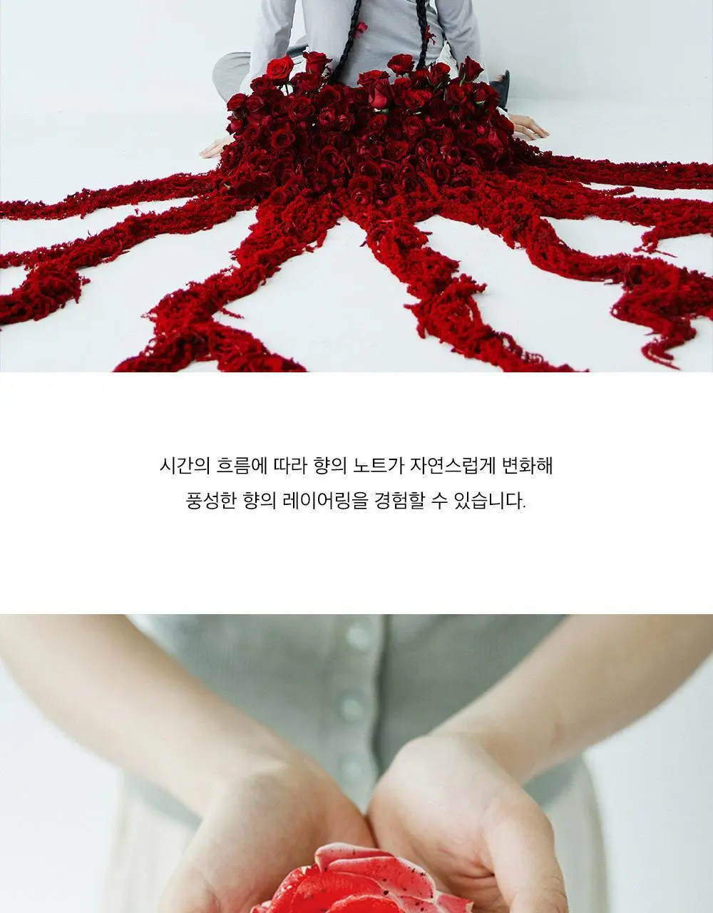 [NEW] 알보우 헤어퍼퓸 미스트 50ml 로즈 퀴르 상세페이지 6